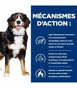 HILL'S Pet Nutrition Croquettes METABOLIC + MOBILITY POULET Chien Sac 4 Kg - Prescription Diet 16 HILL'S Pet Nutrition Croquettes METABOLIC + MOBILITY POULET Chien Sac 4 Kg - Prescription Diet -alimentation chats boutique croquettes metabolic mobility poulet chien sac 4 kg prescription diet 6