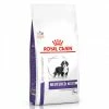 ROYAL CANIN Croquettes NEUTERED JUNIOR LARGE Chien Sac 4 Kg - Veterinary Health Nutrition