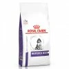 ROYAL CANIN Croquettes NEUTERED JUNIOR MEDIUM Chien Sac 10 Kg - Veterinary Health Nutrition