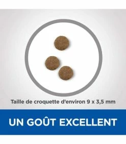 HILL'S Pet Nutrition Croquettes NEUTERED MATURE ADULT 7+ POULET Chat Sac 2,5 Kg - Vet Essentials -alimentation chats boutique croquettes neutered mature adult 7 poulet chat sac 2 kg vetessentials 2