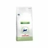 ROYAL CANIN Croquettes PEDIATRIC GROWTH Chat Sac 400 G - Veterinary Care Nutrition