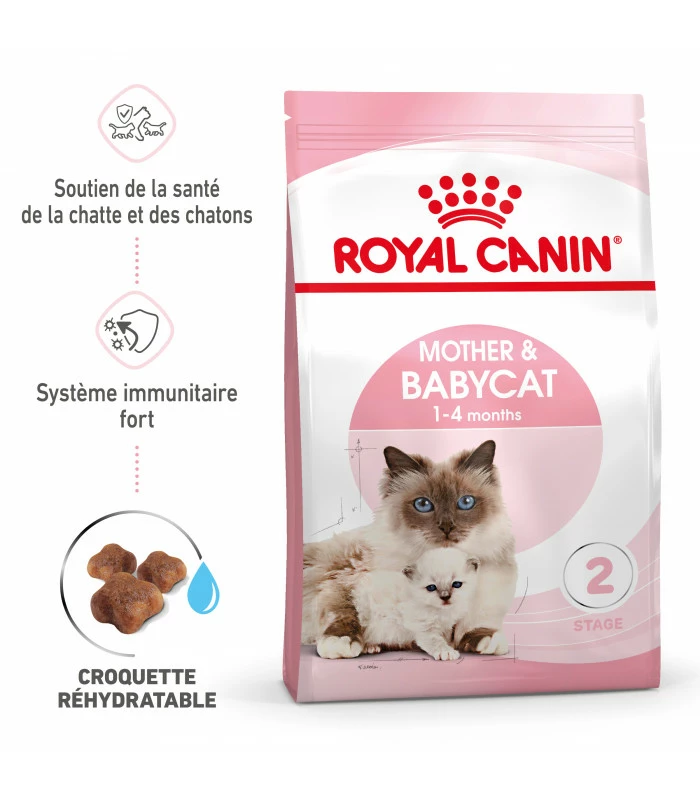 ROYAL CANIN Croquettes Cat Mother And Babycat Chat Sac 2 Kg - Veterinary Care Nutrition 8 ROYAL CANIN Croquettes Cat Mother And Babycat Chat Sac 2 Kg - Veterinary Care Nutrition – Image 8