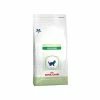 ROYAL CANIN Croquettes PEDIATRIC WEANING Chat Sac 2 Kg - Veterinary Care Nutrition