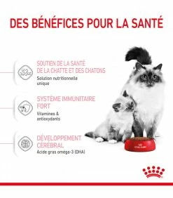 ROYAL CANIN Croquettes Cat Mother And Babycat Chat Sac 4 Kg - Veterinary Care Nutrition 10 ROYAL CANIN Croquettes Cat Mother And Babycat Chat Sac 4 Kg - Veterinary Care Nutrition -alimentation chats boutique croquettes pediatric weaning chat sac 2 kg veterinary care nutrition 2