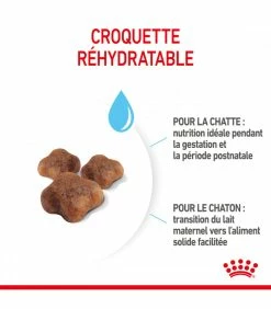 ROYAL CANIN Croquettes Cat Mother And Babycat Chat Sac 4 Kg - Veterinary Care Nutrition 11 ROYAL CANIN Croquettes Cat Mother And Babycat Chat Sac 4 Kg - Veterinary Care Nutrition -alimentation chats boutique croquettes pediatric weaning chat sac 2 kg veterinary care nutrition 3
