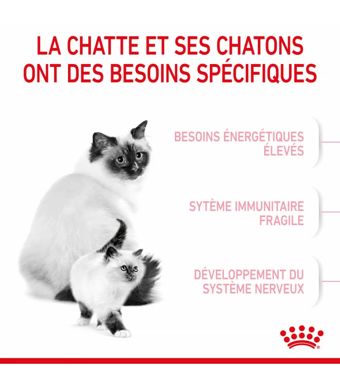 ROYAL CANIN Croquettes CAT MOTHER AND BABY SAC 400g Chat - Veterinary Care Nutrition 2 ROYAL CANIN Croquettes CAT MOTHER AND BABY SAC 400g Chat - Veterinary Care Nutrition â Image 2