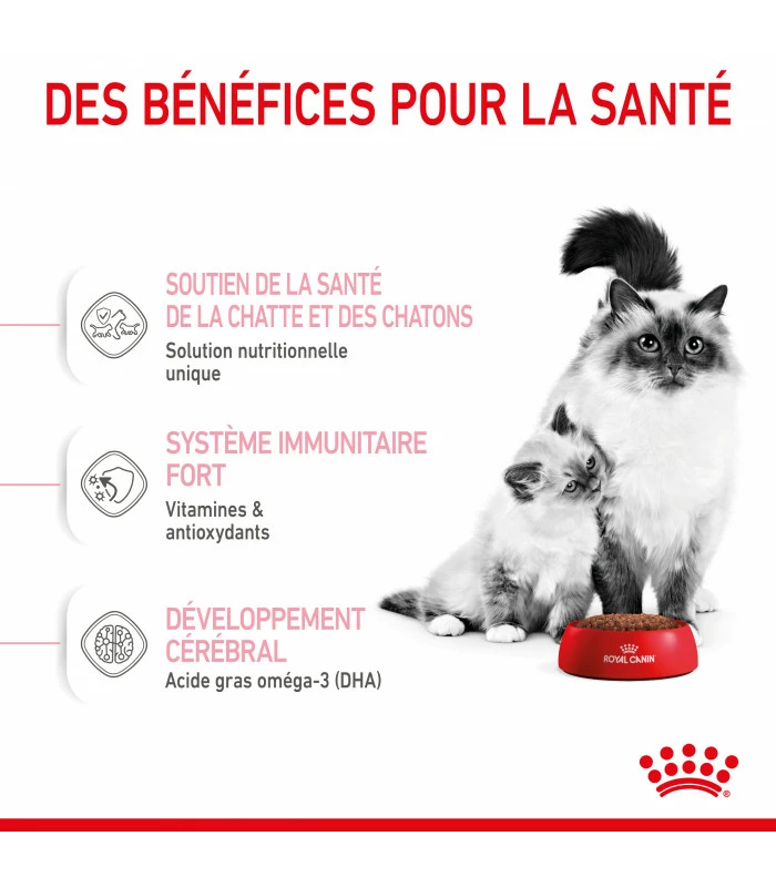 ROYAL CANIN Croquettes CAT MOTHER AND BABY SAC 400g Chat - Veterinary Care Nutrition 3 ROYAL CANIN Croquettes CAT MOTHER AND BABY SAC 400g Chat - Veterinary Care Nutrition â Image 3