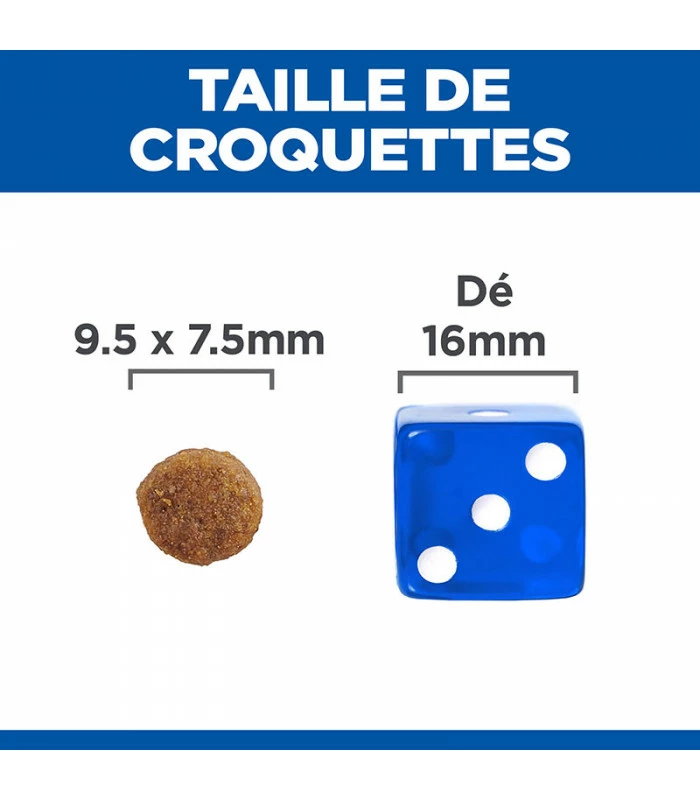 HILL'S Pet Nutrition Croquettes PUPPY GROWTH ACTIVE BIOME + MEDIUM POULET Chien Sac 2 Kg - Vet Essentials 5 HILL'S Pet Nutrition Croquettes PUPPY GROWTH ACTIVE BIOME + MEDIUM POULET Chien Sac 2 Kg - Vet Essentials – Image 5