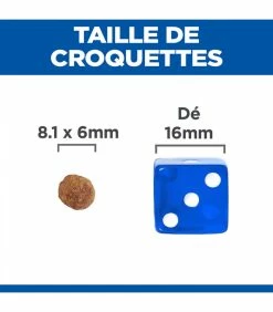 HILL'S Pet Nutrition Croquettes PUPPY GROWTH ACTIVE BIOME+ SMALL&MINI POULET Chien Sac 2 Kg - Vet Essentials -alimentation chats boutique croquettes puppy growth active biome thickboxmini poulet chien sac 2 kg vet essentials 4