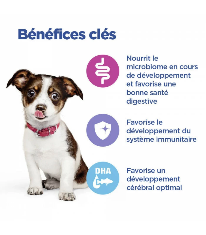 HILL'S Pet Nutrition Croquettes Canine Multi-Benefit Puppy Medium Poulet 8kg - Vet Essentials 6 HILL'S Pet Nutrition Croquettes Canine Multi-Benefit Puppy Medium Poulet 8kg - Vet Essentials – Image 6