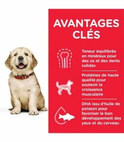 HILL'S Pet Nutrition Croquettes PUPPY LARGE POULET Chiot Sac 16 Kg - Science Plan -alimentation chats boutique croquettes puppy large poulet chiot sac 16 kg science plan 2