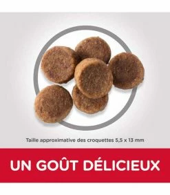 HILL'S Pet Nutrition Croquettes PUPPY LARGE POULET Chiot Sac 16 Kg - Science Plan -alimentation chats boutique croquettes puppy large poulet chiot sac 16 kg science plan 3