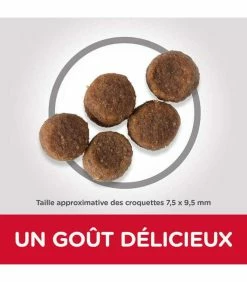 HILL'S Pet Nutrition Croquettes PUPPY MEDIUM POULET Sac 14 Kg Chiot - Science Plan 7 HILL'S Pet Nutrition Croquettes PUPPY MEDIUM POULET Sac 14 Kg Chiot - Science Plan -alimentation chats boutique croquettes puppy medium poulet sac 14 kg chiot science plan 3