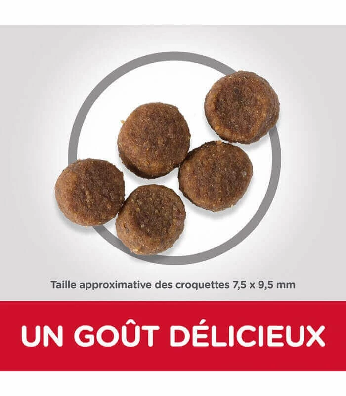 HILL'S Pet Nutrition Croquettes PUPPY MEDIUM POULET Sac 14 Kg Chiot - Science Plan 4 HILL'S Pet Nutrition Croquettes PUPPY MEDIUM POULET Sac 14 Kg Chiot - Science Plan – Image 4