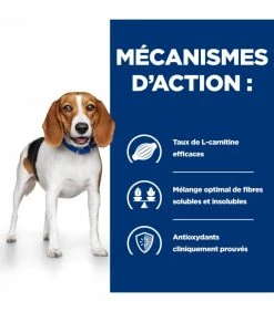 HILL'S Pet Nutrition Croquettes R/D WEIGHT LOSS Chien Sac 10 Kg - Prescription Diet -alimentation chats boutique croquettes rd weight loss chien sac 10 kg prescription diet 4