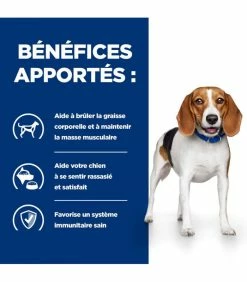 HILL'S Pet Nutrition Croquettes R/D WEIGHT LOSS Chien Sac 4 Kg - Prescription Diet 13 HILL'S Pet Nutrition Croquettes R/D WEIGHT LOSS Chien Sac 4 Kg - Prescription Diet -alimentation chats boutique croquettes rd weight loss chien sac 4 kg prescription diet 4