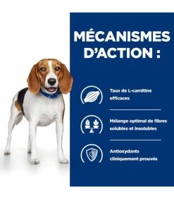 HILL'S Pet Nutrition Croquettes R/D WEIGHT LOSS Chien Sac 4 Kg - Prescription Diet 14 HILL'S Pet Nutrition Croquettes R/D WEIGHT LOSS Chien Sac 4 Kg - Prescription Diet -alimentation chats boutique croquettes rd weight loss chien sac 4 kg prescription diet 5