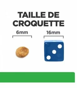 HILL'S Pet Nutrition Croquettes R/D WEIGHT LOSS POULET Chat Sac 1.5 Kg - Prescription Diet -alimentation chats boutique croquettes rd weight loss poulet chat sac 15 kg prescription diet 6