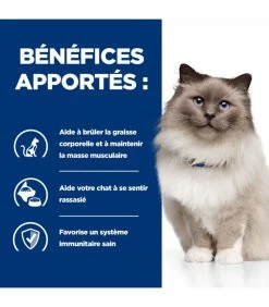 HILL'S Pet Nutrition Croquettes R/D WEIGHT LOSS POULET Chat Sac 3 Kg - Prescription Diet -alimentation chats boutique croquettes rd weight loss poulet chat sac 3 kg prescription diet 3