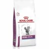 ROYAL CANIN Croquettes RENAL SPECIAL Chat Sac 400 G - Veterinary Health Nutrition