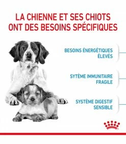 ROYAL CANIN Croquettes STARTER MEDIUM Chien Sac 15 Kg - Veterinary Care Nutrition 11 ROYAL CANIN Croquettes STARTER MEDIUM Chien Sac 15 Kg - Veterinary Care Nutrition -alimentation chats boutique croquettes starter medium chien sac 12 kg veterinary care nutrition 3