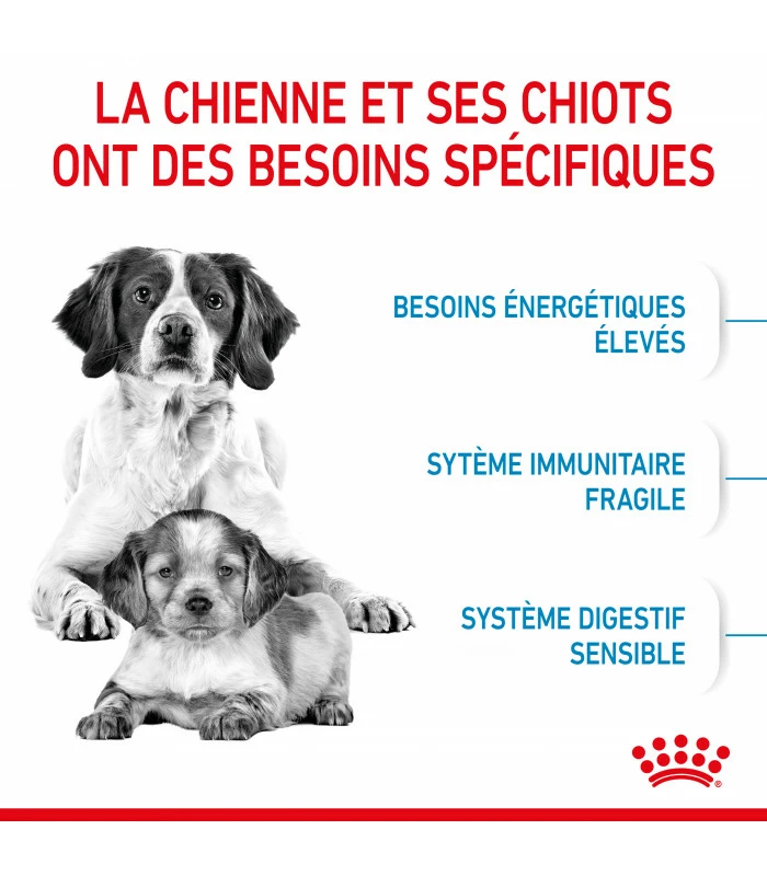 ROYAL CANIN Croquettes STARTER MEDIUM Chien Sac 15 Kg - Veterinary Care Nutrition 3 ROYAL CANIN Croquettes STARTER MEDIUM Chien Sac 15 Kg - Veterinary Care Nutrition – Image 3