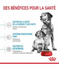ROYAL CANIN Croquettes STARTER MEDIUM Chien Sac 15 Kg - Veterinary Care Nutrition 12 ROYAL CANIN Croquettes STARTER MEDIUM Chien Sac 15 Kg - Veterinary Care Nutrition -alimentation chats boutique croquettes starter medium chien sac 12 kg veterinary care nutrition 4