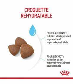 ROYAL CANIN Croquettes STARTER MEDIUM Chien Sac 15 Kg - Veterinary Care Nutrition 13 ROYAL CANIN Croquettes STARTER MEDIUM Chien Sac 15 Kg - Veterinary Care Nutrition -alimentation chats boutique croquettes starter medium chien sac 12 kg veterinary care nutrition 5