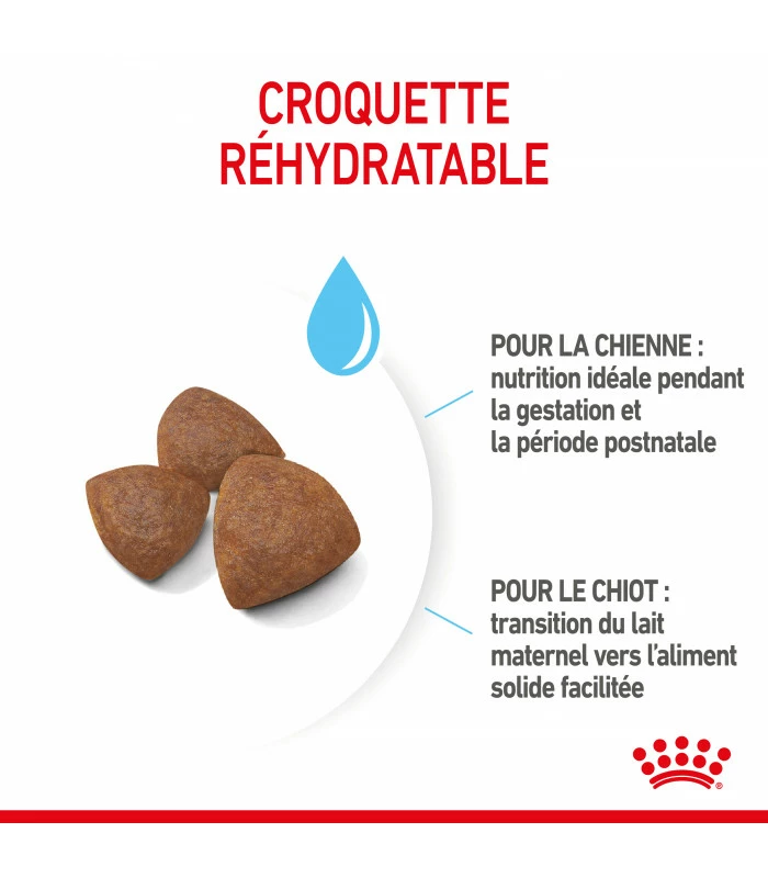 ROYAL CANIN Croquettes STARTER MEDIUM Chien Sac 15 Kg - Veterinary Care Nutrition 5 ROYAL CANIN Croquettes STARTER MEDIUM Chien Sac 15 Kg - Veterinary Care Nutrition – Image 5