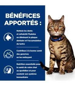 HILL'S Pet Nutrition Croquettes T/D DENTAL POULET Chat Sac 1.5 Kg - Prescription Diet 13 HILL'S Pet Nutrition Croquettes T/D DENTAL POULET Chat Sac 1.5 Kg - Prescription Diet -alimentation chats boutique croquettes td dental poulet chat sac 1 5 kg prescription diet 4