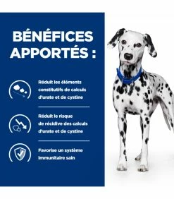 HILL'S Pet Nutrition Croquettes U/D URINARY CARE Chien Sac 4 Kg - Prescription Diet -alimentation chats boutique croquettes ud urinary care chien sac 5 kg prescription diet 3