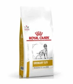 ROYAL CANIN Croquettes URINARY S/O MODERATE CALORIE Chien Sac 6.5 Kg - Veterinary Health Nutrition