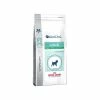 ROYAL CANIN Croquettes JUNIOR SMALL Chien Sac 2 Kg - Veterinary Care Nutrition