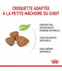 ROYAL CANIN Croquettes DOG X SMALL PUPPY Sac 1.5 K G - Veterinary Care Nutrition -alimentation chats boutique croquettes veterinary care nutrition junior thickbox chien sac 2 kg 24