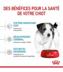 ROYAL CANIN Croquettes DOG MINI PUPPY Chien Sac 2 Kg - Veterinary Care Nutrition -alimentation chats boutique croquettes veterinary care nutrition junior thickbox chien sac 2 kg 31