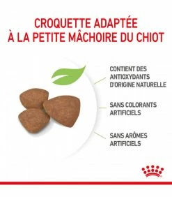 ROYAL CANIN Croquettes DOG MINI PUPPY Chien Sac 2 Kg - Veterinary Care Nutrition -alimentation chats boutique croquettes veterinary care nutrition junior thickbox chien sac 2 kg 32