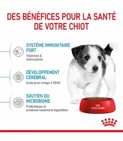 ROYAL CANIN Croquettes DOG MINI PUPPY Chien Sac800 G - Veterinary Care Nutrition -alimentation chats boutique croquettes veterinary care nutrition junior thickbox chien sac 2 kg 40
