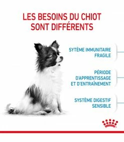 ROYAL CANIN Croquettes DOG X SMALL PUPPY Sac 500 G - Veterinary Care Nutrition