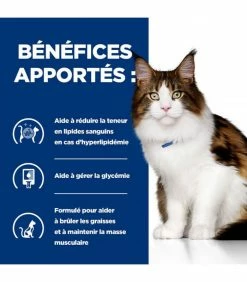 HILL'S Pet Nutrition Croquettes W/D MULTI-BENEFIT POULET Chat Sac 1.5 Kg - Prescription Diet -alimentation chats boutique croquettes wd multi benefit poulet chat sac 1 5 kg prescription diet 5
