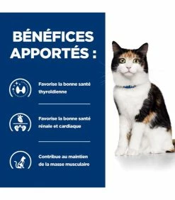 HILL'S Pet Nutrition Croquettes Y/D THYROID POULET Chat Sac 1.5 Kg - Prescription Diet -alimentation chats boutique croquettes yd thyroid poulet chat sac 15 kg prescription diet 5