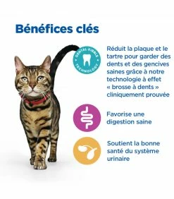 alimentation chats boutique -alimentation chats boutique croquettes young adult dental health poulet chat sac 10 kg vetessentials 1