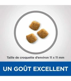 HILL'S Pet Nutrition Croquettes YOUNG ADULT DENTAL HEALTH POULET Chat Sac 10 Kg - Vet Essentials 7 HILL'S Pet Nutrition Croquettes YOUNG ADULT DENTAL HEALTH POULET Chat Sac 10 Kg - Vet Essentials -alimentation chats boutique croquettes young adult dental health poulet chat sac 10 kg vetessentials 9