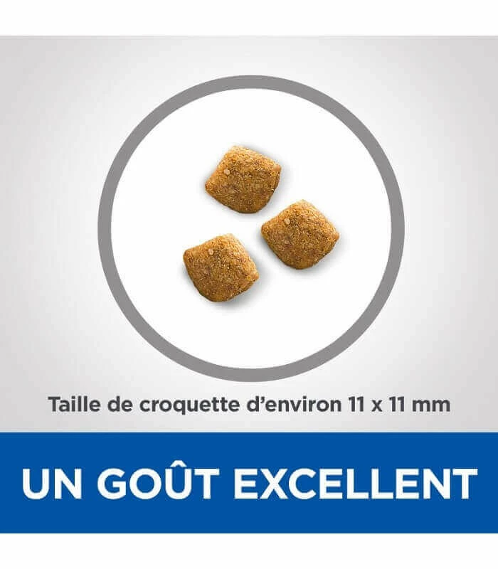 HILL'S Pet Nutrition Croquettes YOUNG ADULT DENTAL HEALTH POULET Chat Sac 2.5 Kg - Vet Essentials 4 HILL'S Pet Nutrition Croquettes YOUNG ADULT DENTAL HEALTH POULET Chat Sac 2.5 Kg - Vet Essentials â Image 4