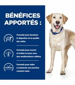 HILL'S Pet Nutrition Croquettes D/D FOOD SENSITIVITIES CANARD & RIZ Chien Sac 12 Kg - Prescription Diet 14 HILL'S Pet Nutrition Croquettes D/D FOOD SENSITIVITIES CANARD & RIZ Chien Sac 12 Kg - Prescription Diet -alimentation chats boutique dd food sensitivities canard riz chien sac 12 kg prescription diet 5