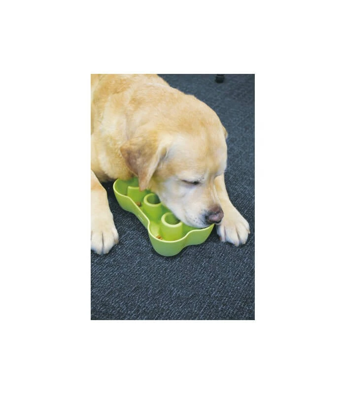 Evelyne Gamelle Anti-glouton Vert GM Chien 2 Evelyne Gamelle Anti-glouton Vert GM Chien – Image 2