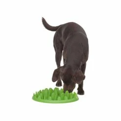 NORTHMATE Gamelle GREEN ANTI-GLOUTON Chien