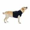 Medical Pet Shirt Gilet De Protection 4 EN 1 T.L Chien