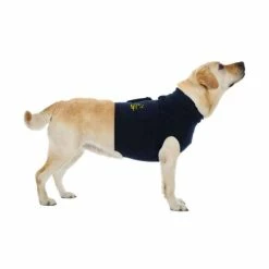 Medical Pet Shirt Gilet De Protection 4 EN 1 T.L Chien