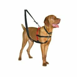 Company Of Animals Harnais Anti-traction Noir T.M Chien