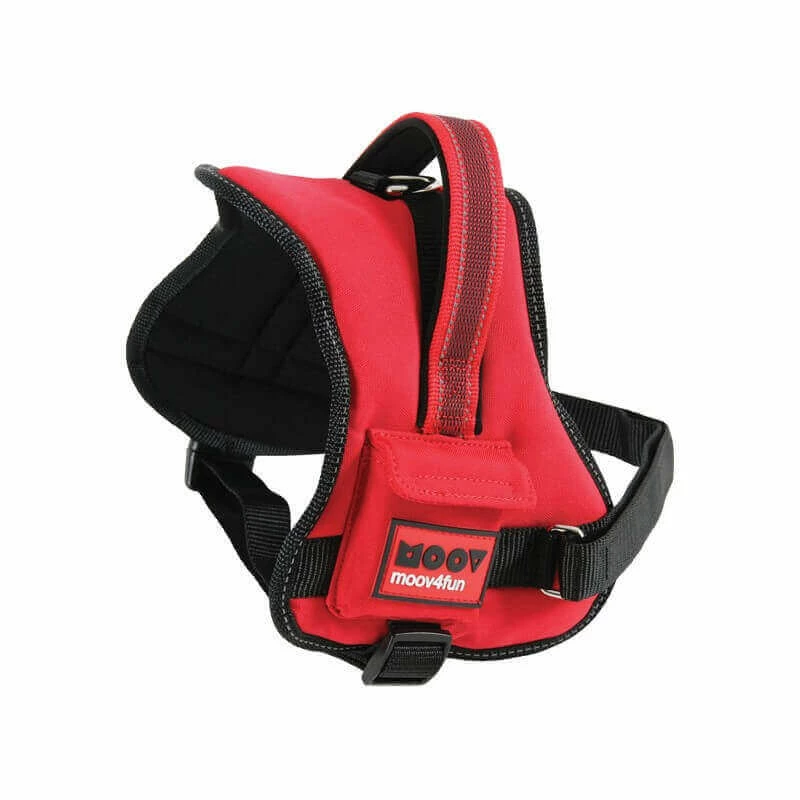 Zolux Harnais CONFORT REGLABLE MOOV T.XS Chien 1 Zolux Harnais CONFORT REGLABLE MOOV T.XS Chien